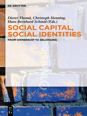 cover image of Social Capital, Social Identities